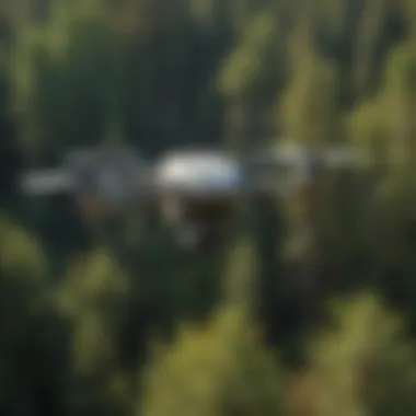 Drone Surveillance Over Forest Canopy