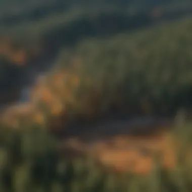 Innovative Remote Sensing Techniques in Forestry