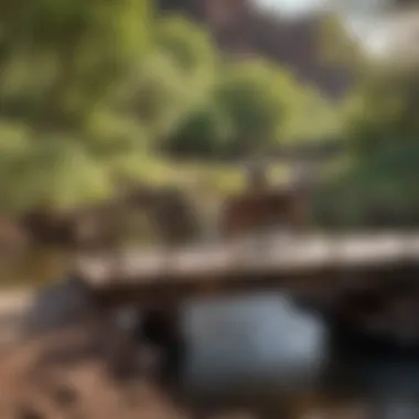 Rider crossing a wooden bridge over a creek