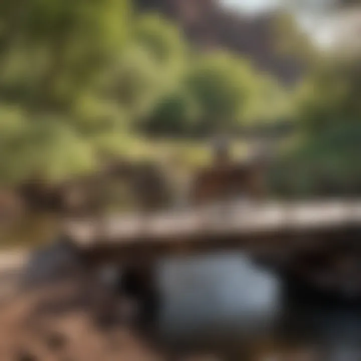 Rider crossing a wooden bridge over a creek