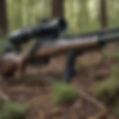 Rifle and Camouflage Gear in Texas National Forest Rifle and Camouflage Gear in Texas National Forest