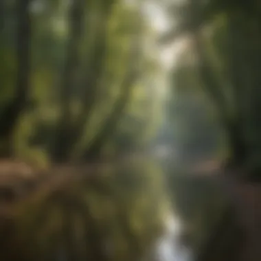 River Crossing Adventure on Kentucky Biking Trail