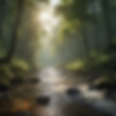 River Flowing Through Forest