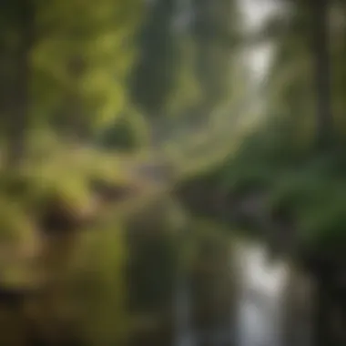 Ecological Restoration on Boise's Waterfront Ecological restoration efforts along Boise waterfront