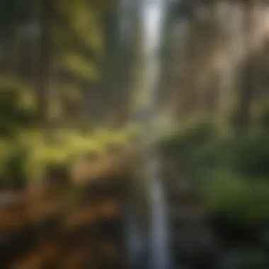 Sustainable Practices Near Riverside Areas Sustainable land management practices adjacent to rivers