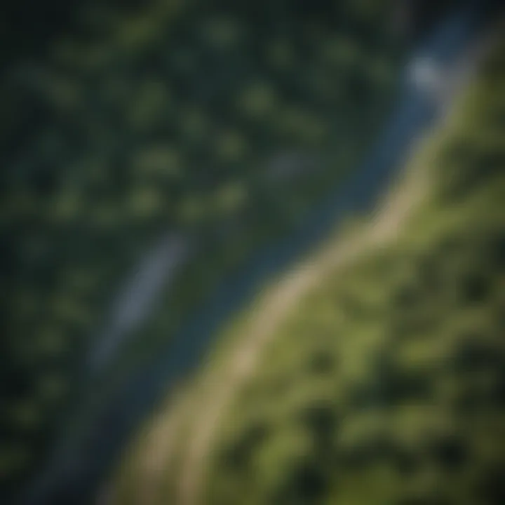 Aerial view of the winding path of Rock Creek cutting through lush greenery