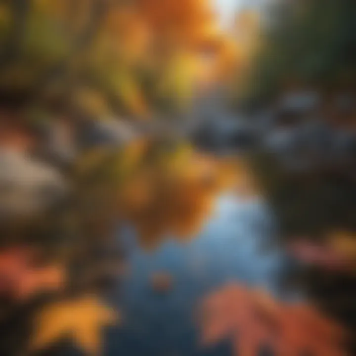 Reflection of colorful autumn leaves in the tranquil waters of Rock Creek
