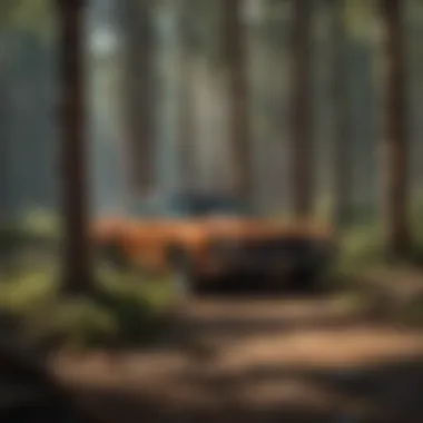 Innovative designs from Rocky Mountain Wood Products