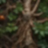Close-up of diverse medicinal roots showcasing their textures and colors
