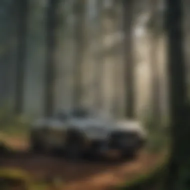 AI Applications in Forestry
