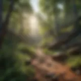 Rugged terrain of Slickrock Trail