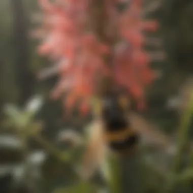 Vital Pollination Role of the Rusty Patch Bumblebee Rusty Patch Bumblebee Pollinating Blossoms