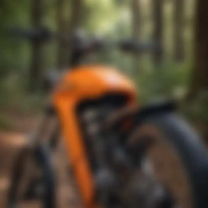 Electric bike safety gear and equipment requirements