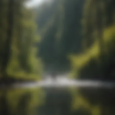 An angler casting a line into the vibrant waters of the river