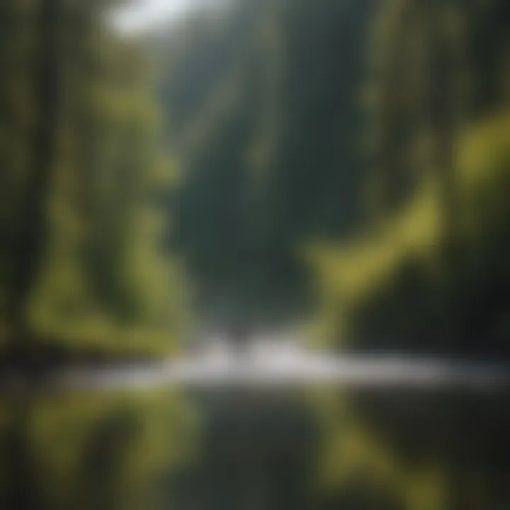 An angler casting a line into the vibrant waters of the river