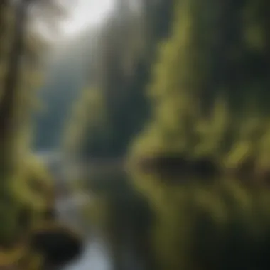 Landscape of the Russian River Ecosystem A picturesque landscape showcasing the Russian River ecosystem