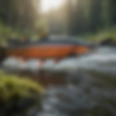 Salmon Spawning in a Natural Habitat A close-up of salmon spawning in a pristine river environment