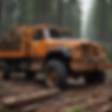Impact of Salvage Logging on Forest Recovery Salvage logging aftermath