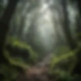 Lush greenery of El Yunque National Forest with vibrant flora.