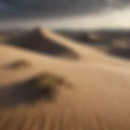Sculpted by Time: Sand Dunes Formation