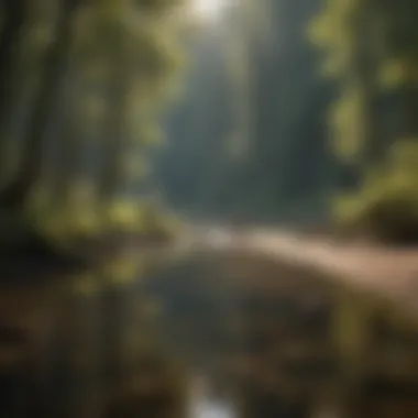 Immersive Fishing Experience on Sandy River Serene Fishing Experience on Sandy River