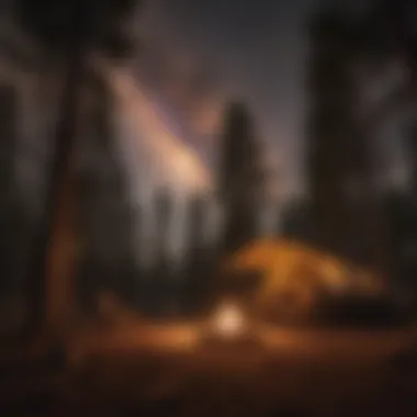 Campfire under the stars at Santa Barbara KOA Campground