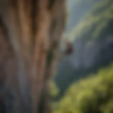 Scaling majestic cliffs for rock climbing at Red River Gorge