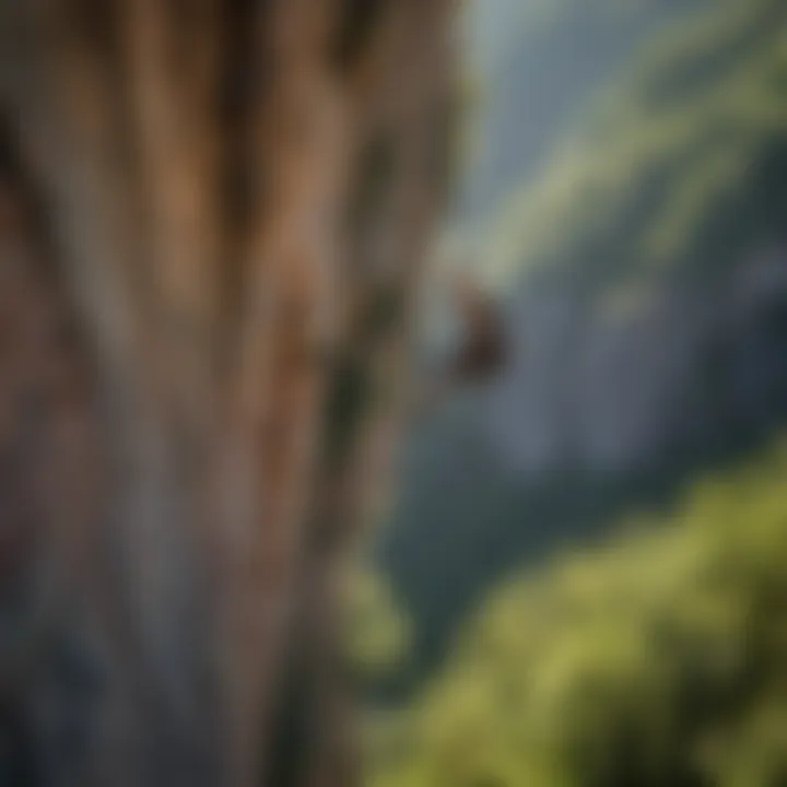 Scaling majestic cliffs for rock climbing at Red River Gorge