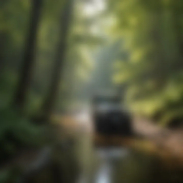 Scenic Beauty Along West Virginia's Off-Road Trails