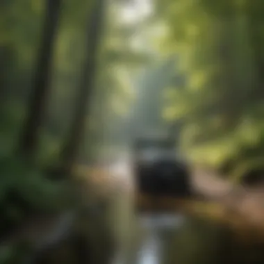 Immersed in Nature's Splendor Scenic Beauty Along West Virginia's Off-Road Trails