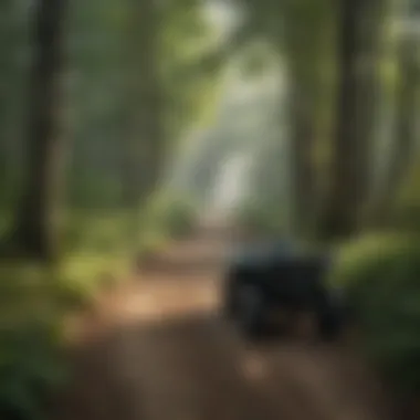 Scenic Forest Trail in Indiana