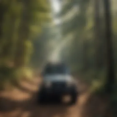 Scenic Offroad Trail Amidst Georgia's Nature Scenic Offroad Trail in Georgia