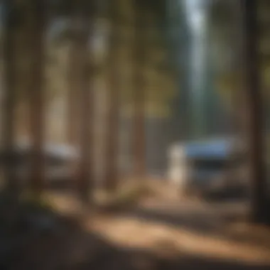 Scenic Outdoor Setting of Tahoe RV Park Scenic Outdoor Setting of Tahoe RV Park