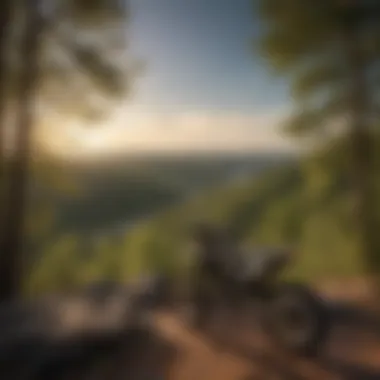 Scenic Overlook in Arkansas