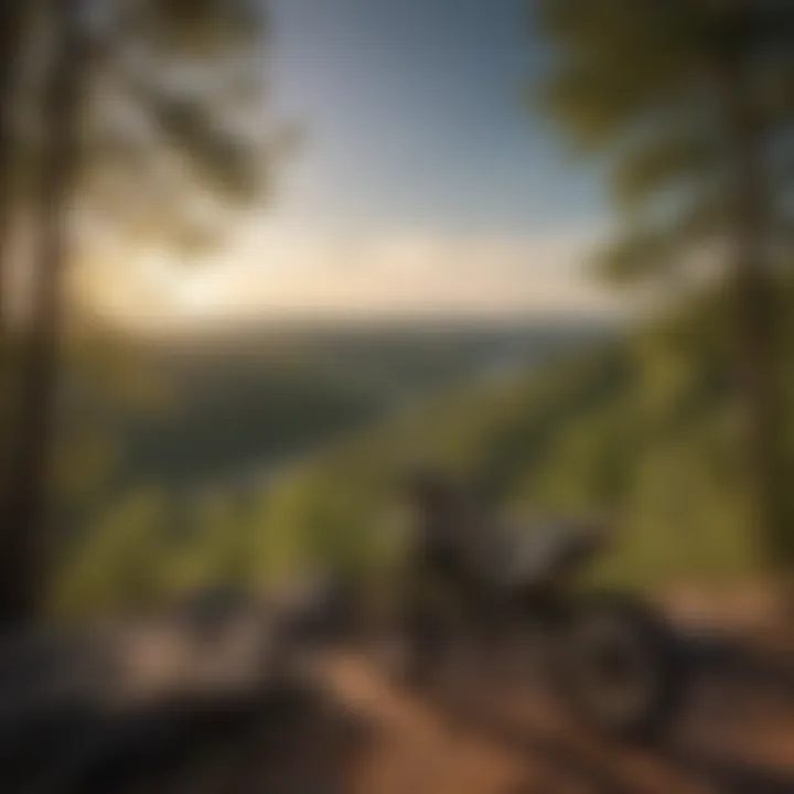 Scenic Overlook in Arkansas