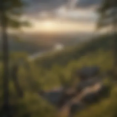 Breathtaking Vista of Minnesota's Wilderness Scenic overlook showcasing Minnesota's stunning landscape