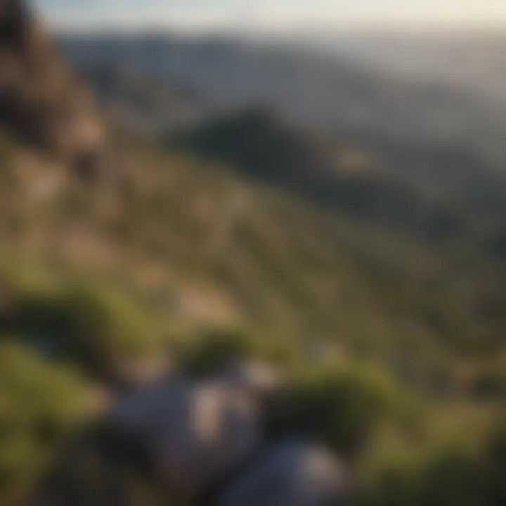 Scenic overlook of the valley from Mt. Lemmon