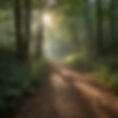 Scenic Pocahontas County Trail