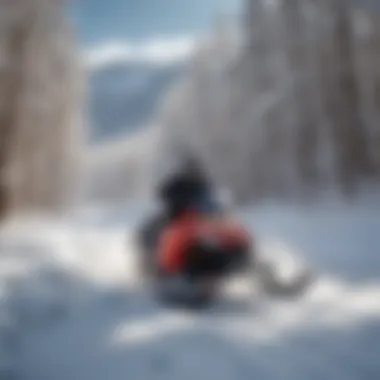 Scenic Snowmobiling Views in Glenwood Springs