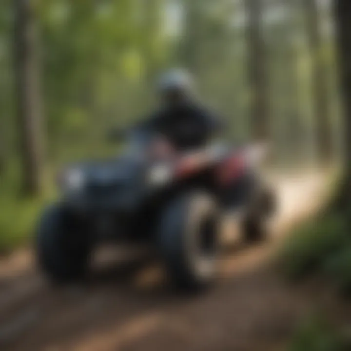 Scenic Views of Michigan ATV Trails