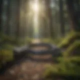 Secure Network Connection Symbolizing VPN Usage in US Army Secure Network Connection Symbolizing VPN Usage in US Army