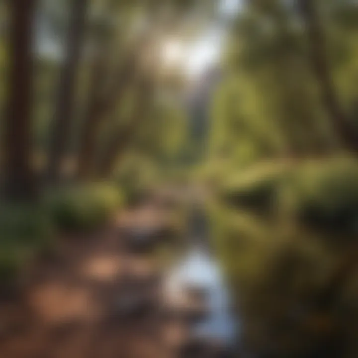 A serene scene of wildlife thriving in Sedona's woodland