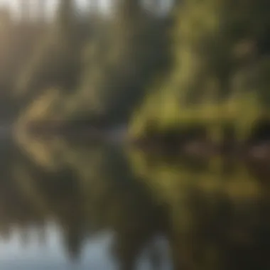 Serene Lake Reflections Serene Lake Reflections