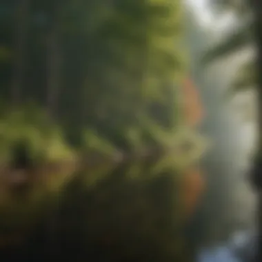 Illustration of a serene Michigan lake reflecting the beauty of nature