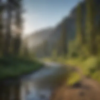 Serene Nature Walks Along Snake River