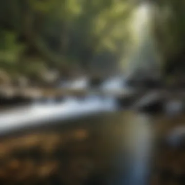 Tranquil River Flow Serene River Flowing at Dukes Creek Falls