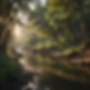 Serene Riverbank Walk in San Antonio