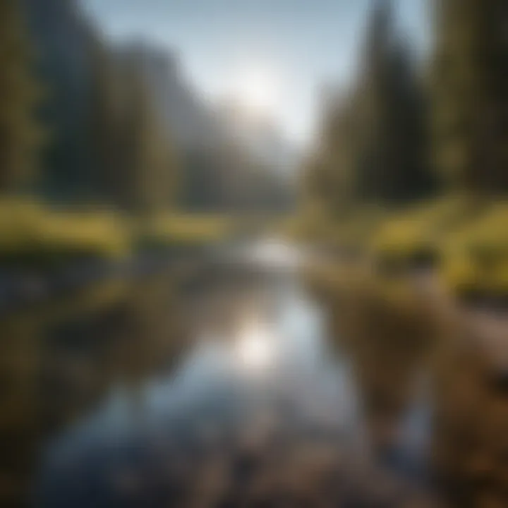 Tranquil Snake River Serene Snake River