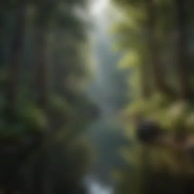 Serene Waters of The Eastwood