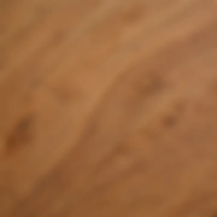 Close-up Detail of Sierra Hemlock Flooring Grain